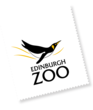The Edinburgh Pandas Are Planning the Perfect Date – to Mate